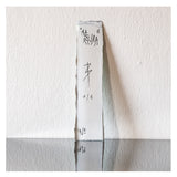 Blvckjep - Apertura - Tecnica Mista su Libro d'Archivio