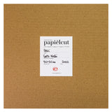 Carmine Luino - Pesci - Carta Ritagliata