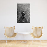 CIRO PIPOLI - GUAGLIUNERA #1