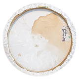 Sam Punzina - La natura sottomessa - Tecnica mista su tela