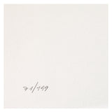 Massimo Sirelli - Oh Lady Mary - Serigrafia