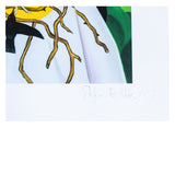 Stefano Bolcato - Collana di spine - Fine Art Print