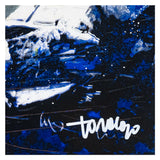 Francesco Toraldo - Volvo Race - Serigrafia