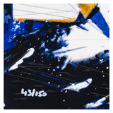 Francesco Toraldo - Volvo Race - Serigrafia