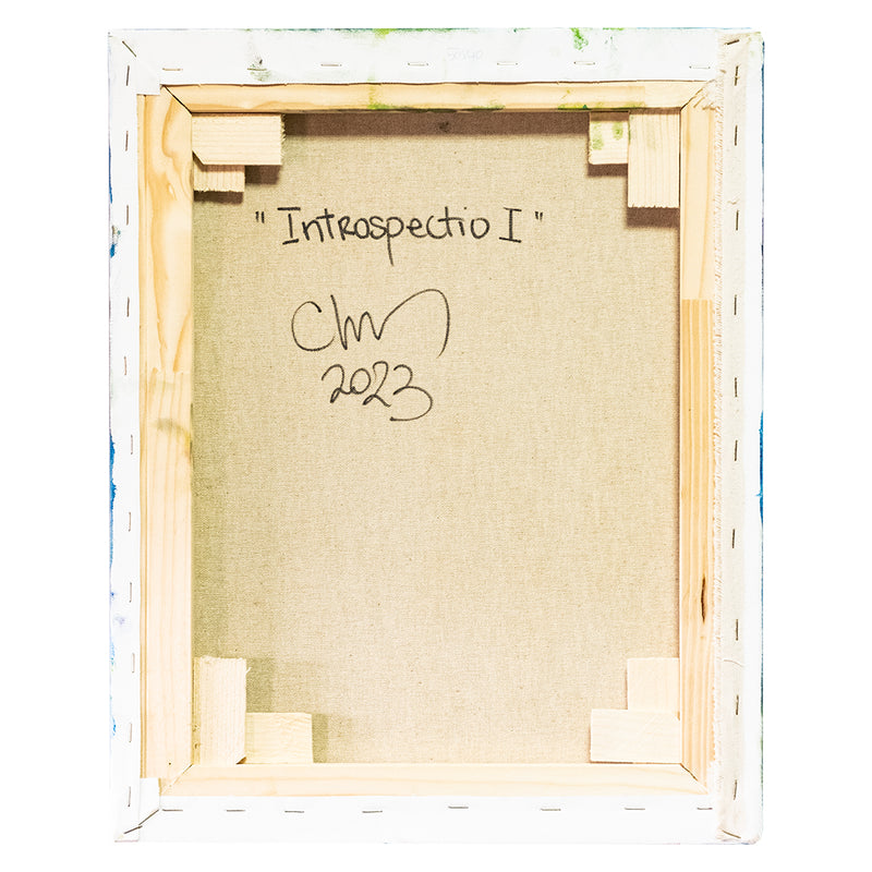 Chiara Magni - Introspectio I - Olio su Tela