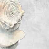 Daniele Fortuna - Napul'è mille culur - Scultura in Legno