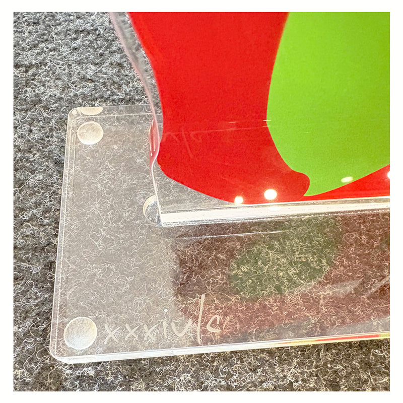 MARCO LODOLA - SUPERHEROES - SERIGRAFIA DA APPOGGIO IN PLEXIGLASS