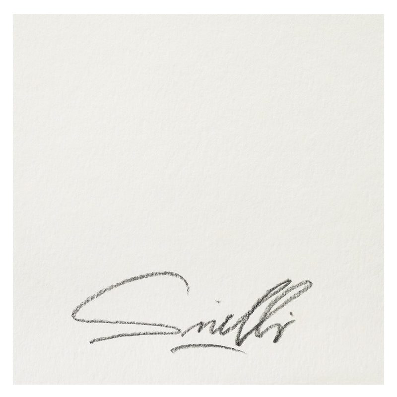 Massimo Sirelli - Oh Lady Mary - Serigrafia
