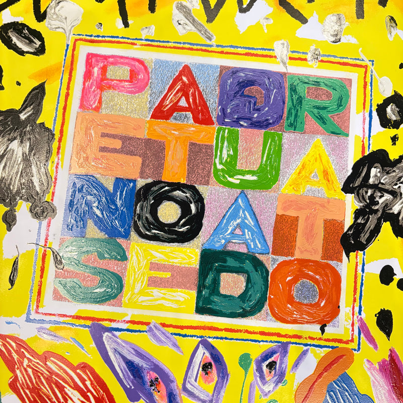 Bruno Donzelli - Zoom Boetti - Serigrafia