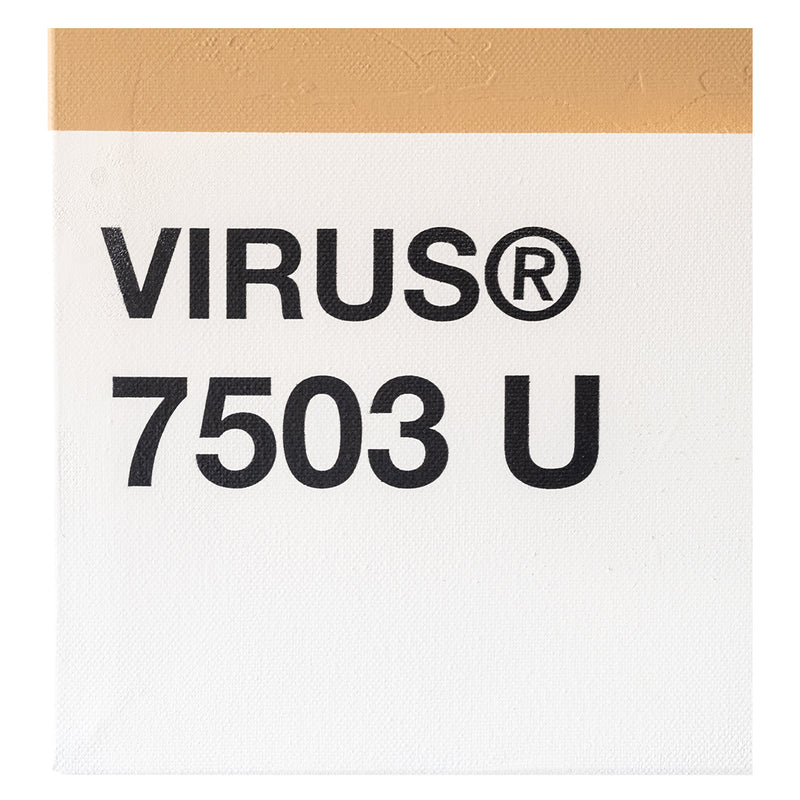 Blvckjep - Virus - Gesso Spray e Siringhe Sterili su Tela